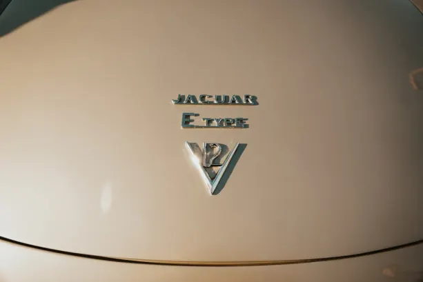 Untold Casino Application Android/iOS